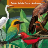 Aves Cañón del río Porce, Antioquia