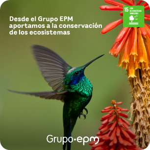 Imagen card biodiversidad
