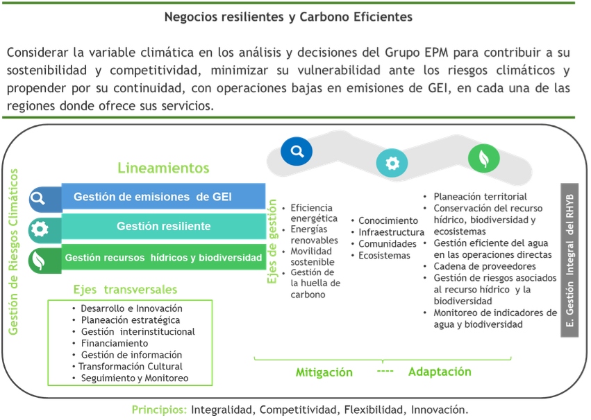 negocios-resilientes-y-carbono-eficientes
